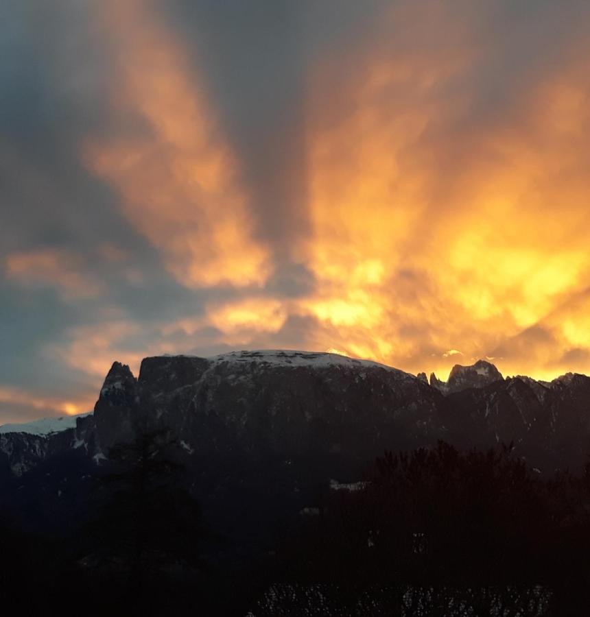Oberpfaffstallerhof Collalbo Kültér fotó