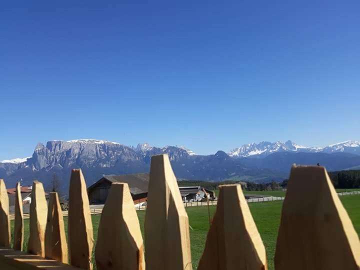 Oberpfaffstallerhof Collalbo Kültér fotó